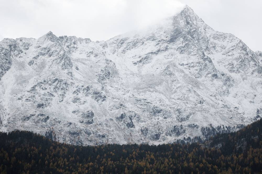 Five German climbers die in avalanche in Italian Alps