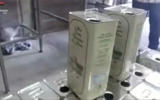 Итальянские власти ликвидировали сеть по продаже поддельного оливкового масла