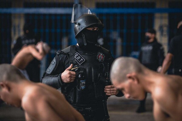 Итальянский парламент принимает новое законодательство по охране окружающей среды