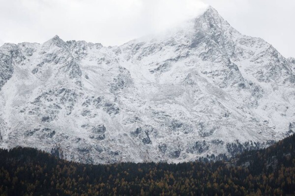 Five German climbers die in avalanche in Italian Alps